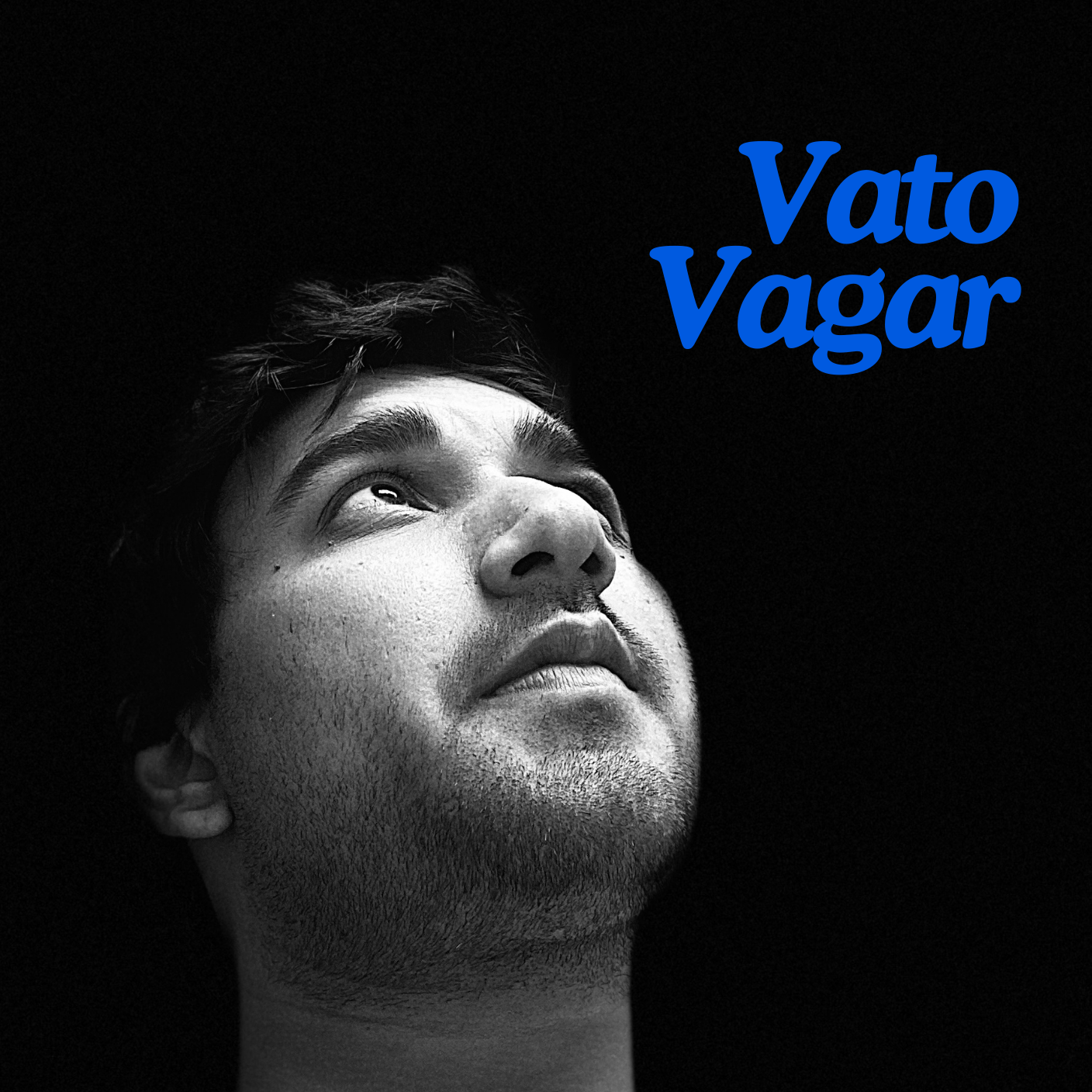 Cover art for Vato Vagar (Gujarati)